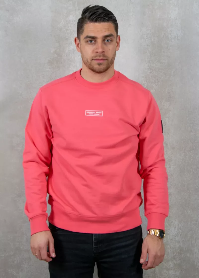 Marshall Artist msatm10842 093 salmon
