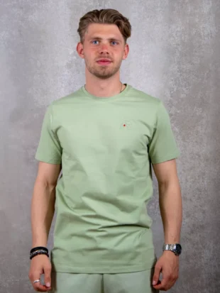 AB Lifestyle basic tee desert sage
