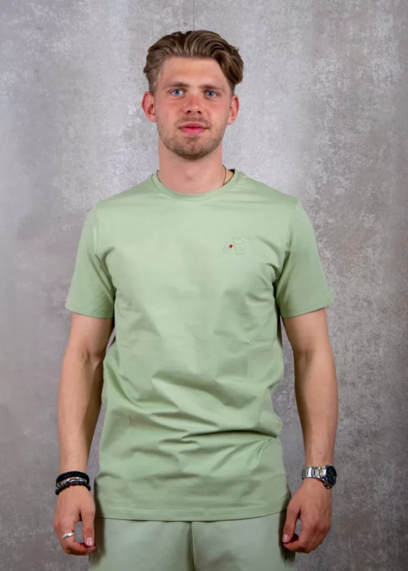 AB Lifestyle basic tee desert sage