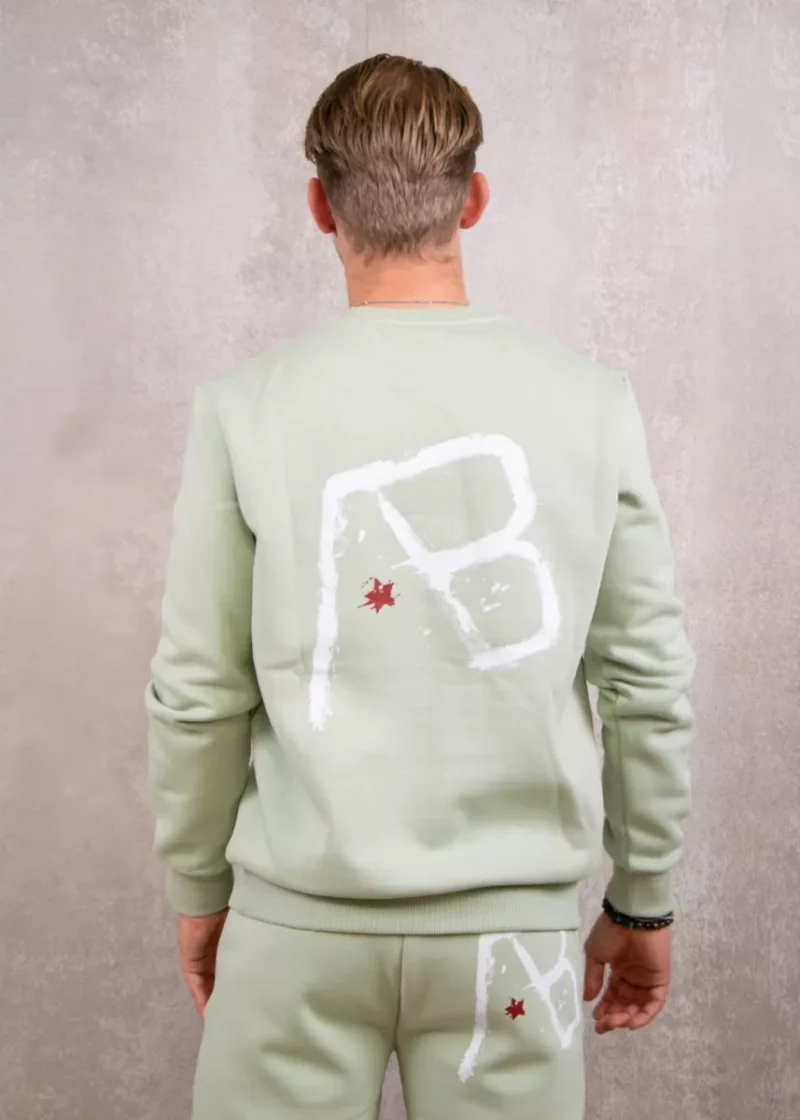 AB Lifestyle canvas crewneck with print desert sage