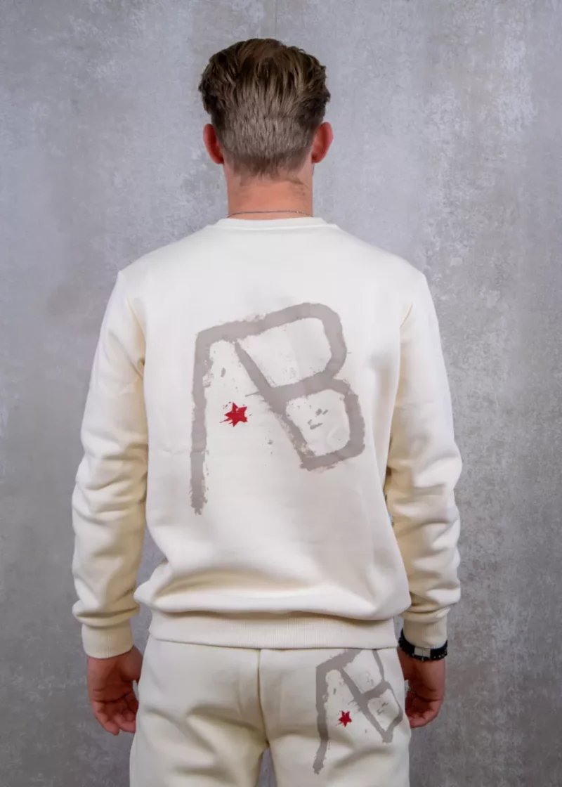 AB Lifestyle canvas crewneck with print white swan