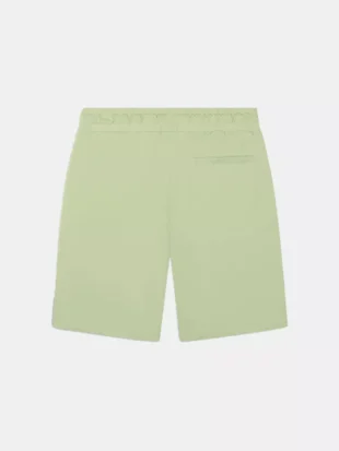 AB Lifestyle prime short desert sage
