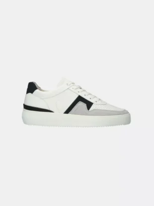 Blackstone dg513 white dark blue
