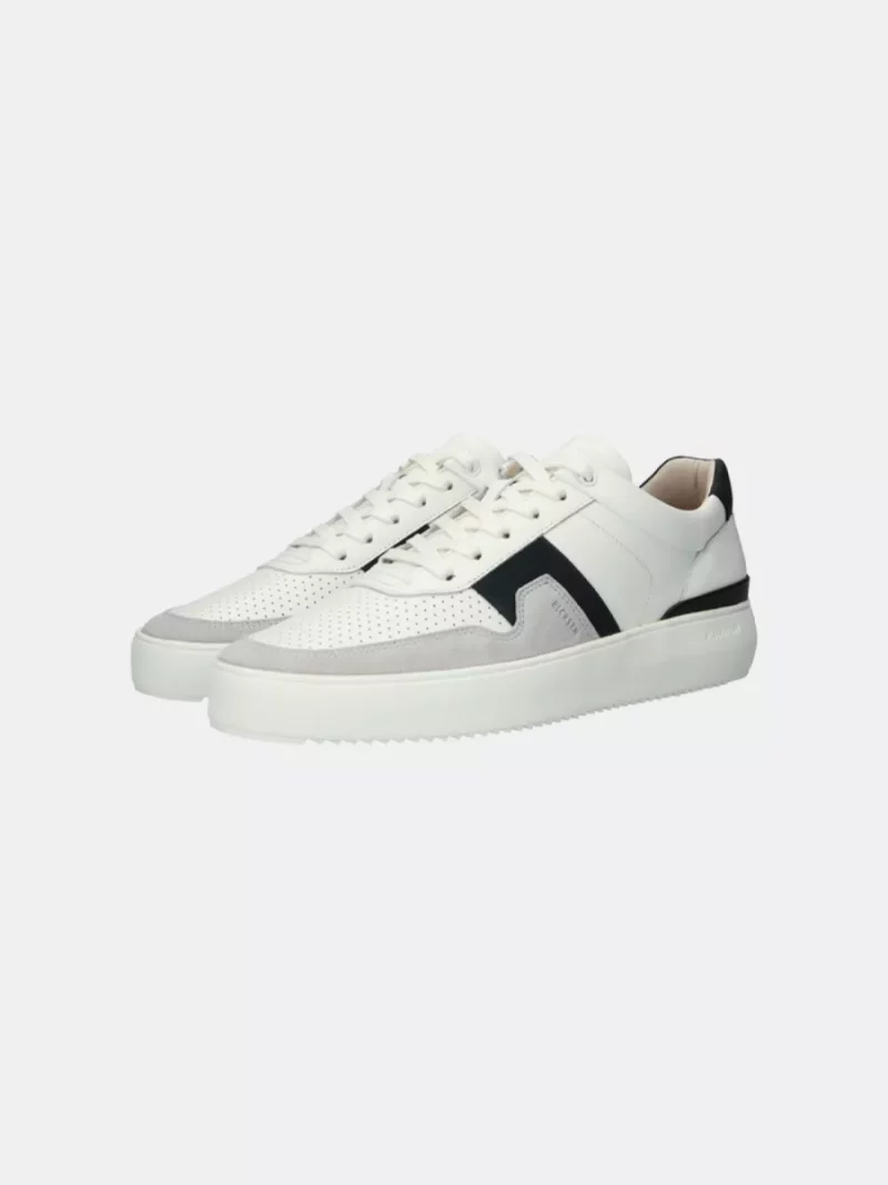 Blackstone dg513 white dark blue
