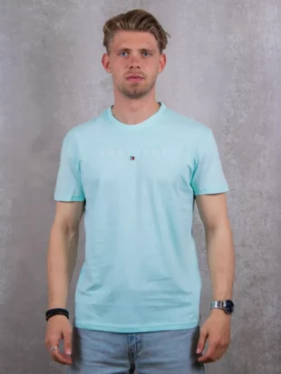 Tommy Jeans dm0dm20744 l6v spring mint