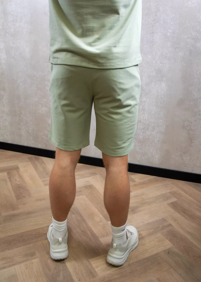 AB Lifestyle Prime Short 5 AB Lifestyle prime short desert sage