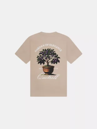 Quotrell damson t-shirt greige/white