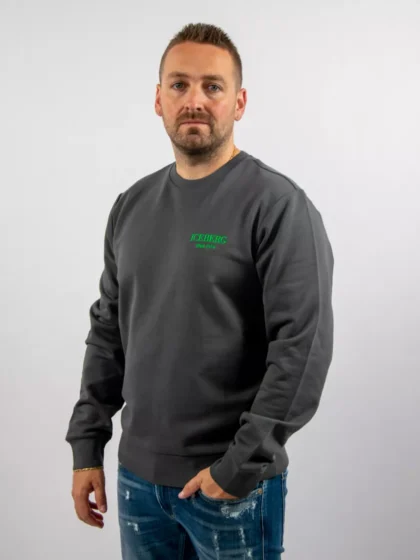 Iceberg e031 6300 8602 grigio scuro