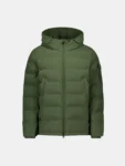 Groen