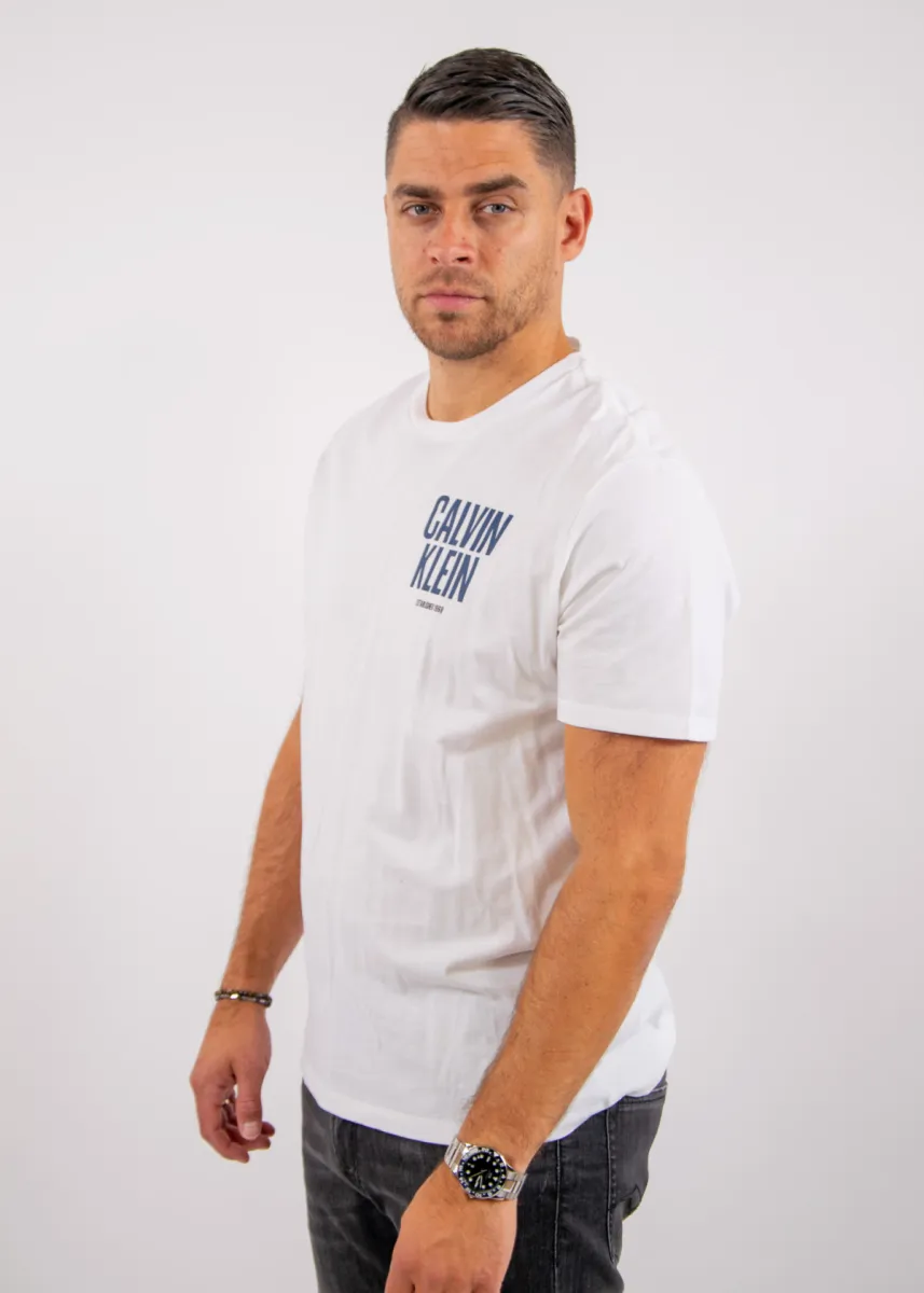 Calvin Klein Jeans SS 30S EU Block Font Calvin Back-Print 3 Calvin Klein Jeans lv04rh816g yaf bright white