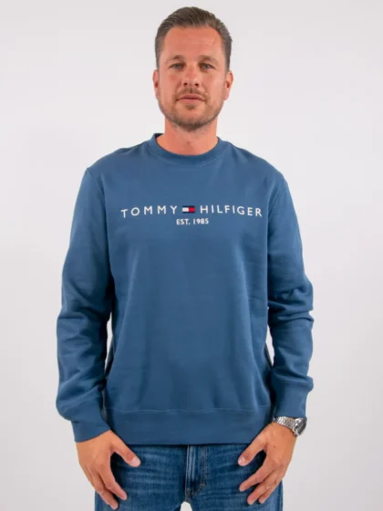 Tommy Hilfiger mw0mw11596 dbz aegean sea