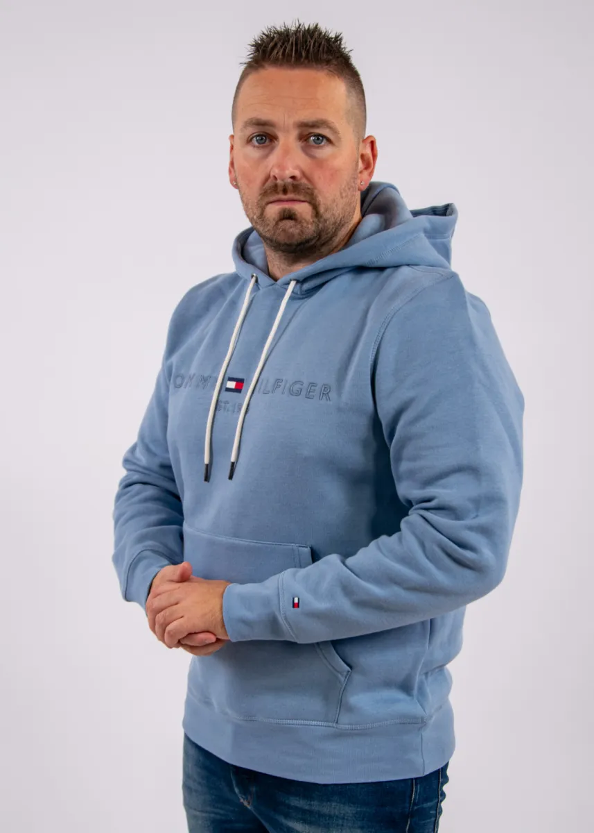 Tommy Hilfiger Tommy Logo Hoody 2 Tommy Hilfiger mw0mw11599 c2b brisk blue/tonal
