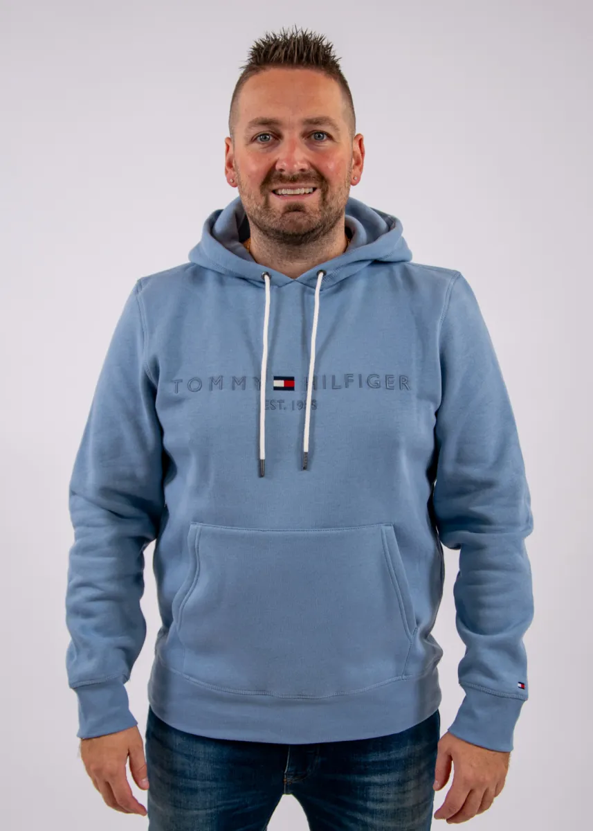 Tommy Hilfiger Tommy Logo Hoody 1 Tommy Hilfiger mw0mw11599 c2b brisk blue/tonal
